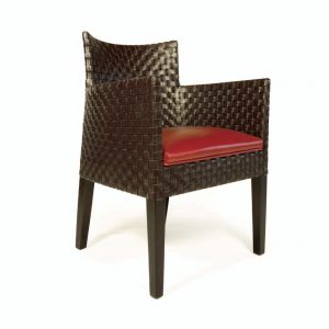 walters interior arm chair