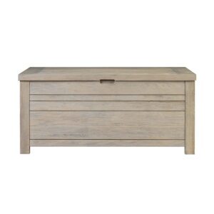 Storage Trunk