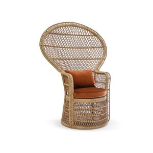 Peacock Chair